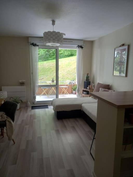 Ferienwohnung Le Doubs Cosy Besançon Exterior foto
